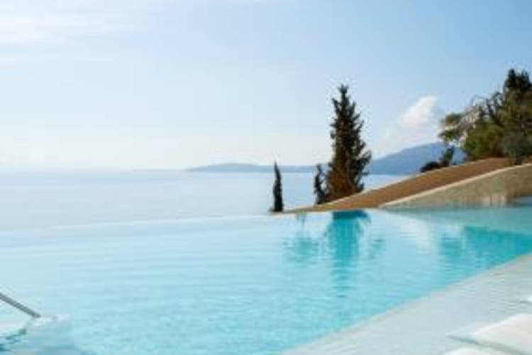 Main Pool Landscape